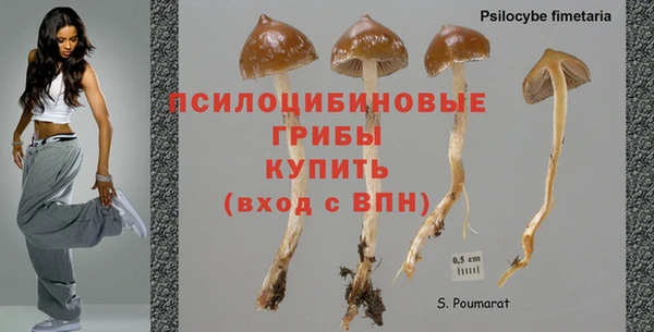 не бодяженный Абдулино