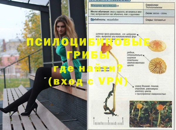 не бодяженный Абдулино
