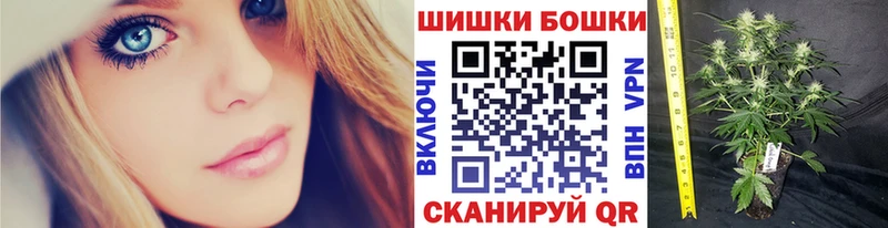 MEGA ссылки Суздаль Бошки марихуана SATIVA & INDICA